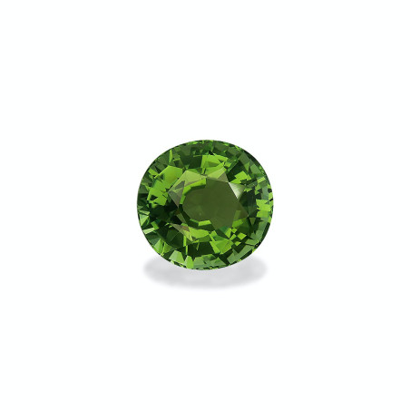 OVAL-cut Green Tourmaline Pistachio Green 27.72 carats