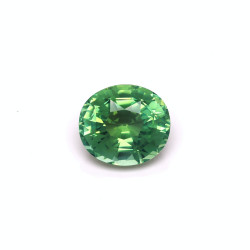 Ovale geslepen groene toermalijn van 27,04 karaat