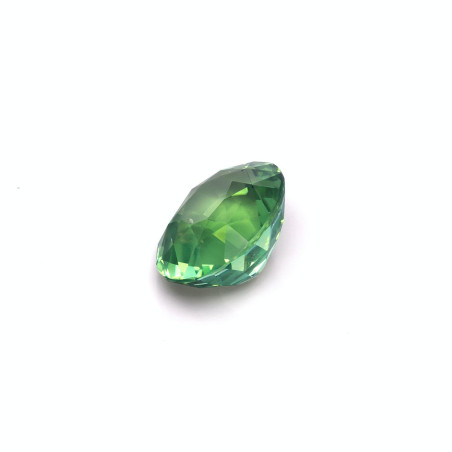Grüner Turmalin lengte OVAL Grün 27.04 karaten