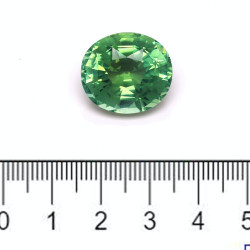 Ovale geslepen groene toermalijn van 27,04 karaat