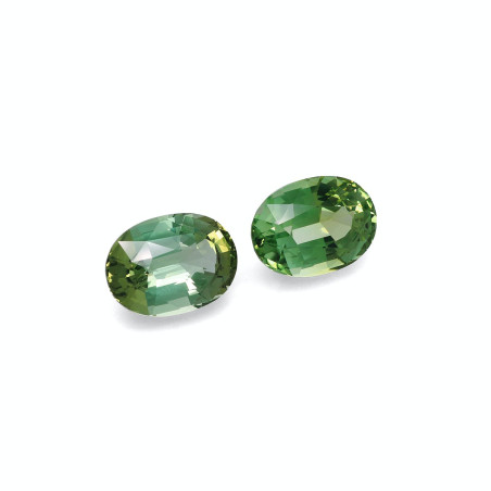 Turmalina Verde taille OVALE Cotton Green 16.02 carats