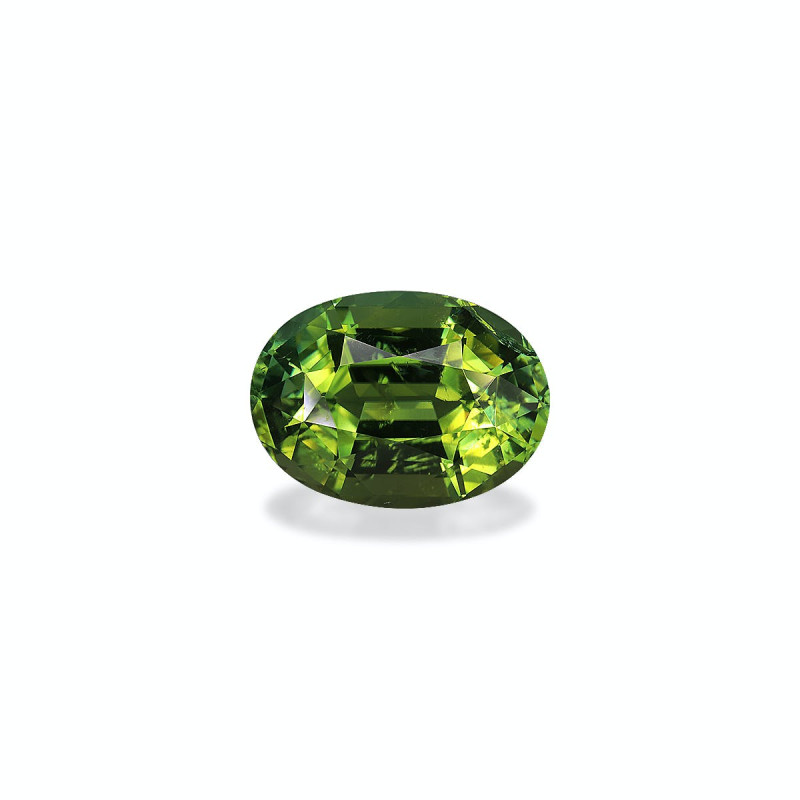 Tourmaline Verte taille OVALE Moss Green 15.75 carats
