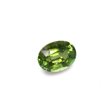 Grüner Turmalin lengte OVAL Moosgrün 15.75 karaten