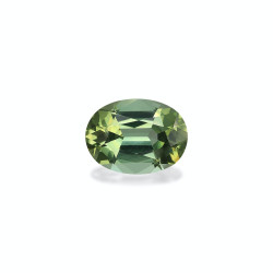 Gr&uuml;ner Turmalin lengte OVAL Pistaziengr&uuml;n 12.32 karaten