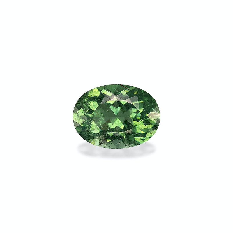 OVAL-cut Paraiba Tourmaline Cotton Green 5.44 carats