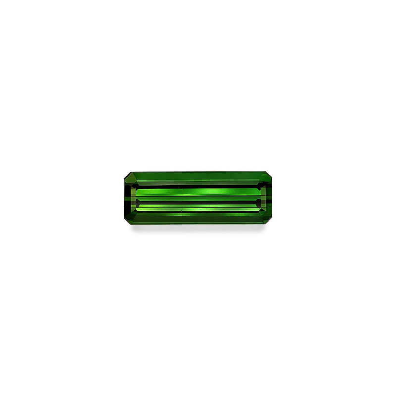 绿色电气石 taille 矩形的 苔藓绿 13.11 carats