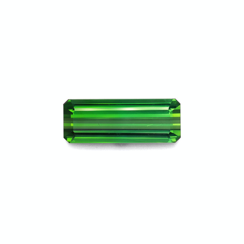 Tourmaline Verte taille RECTANGULARE 绿色 15.90 carats