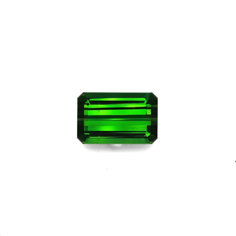 RECTANGULAR-cut Green Tourmaline Green 12.85 carats