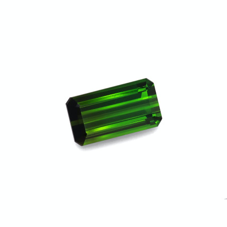 Turmalina Verde taille RECTANGULARE Moss Green 19.42 carats