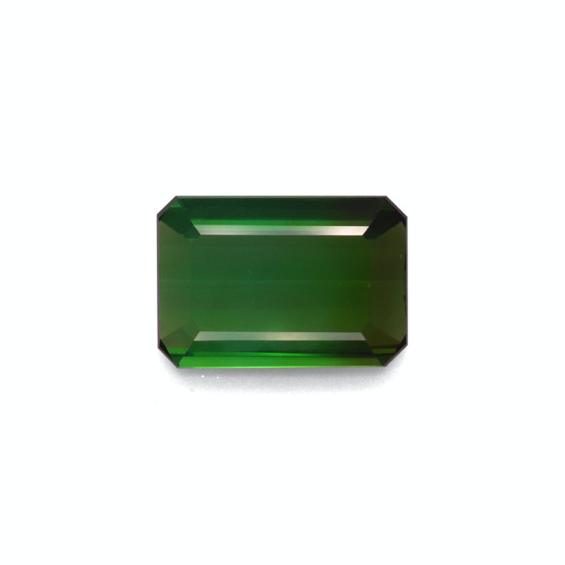 RECTANGULAR-cut Green Tourmaline Moss Green 10.66 carats
