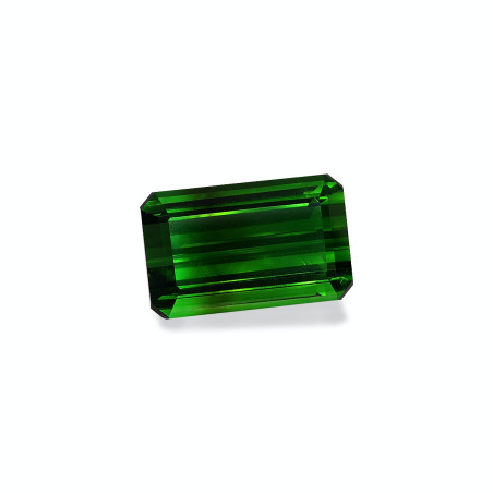 Turmalina Verde taille RECTANGULARE Moss Green 42.61 carats
