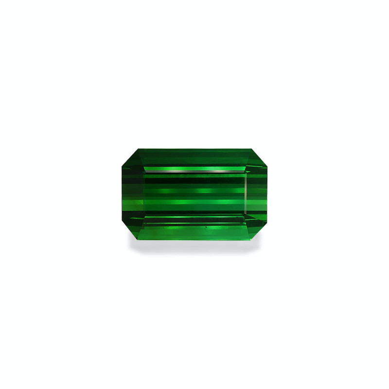 RECTANGULAR-cut Green Tourmaline Green 93.30 carats