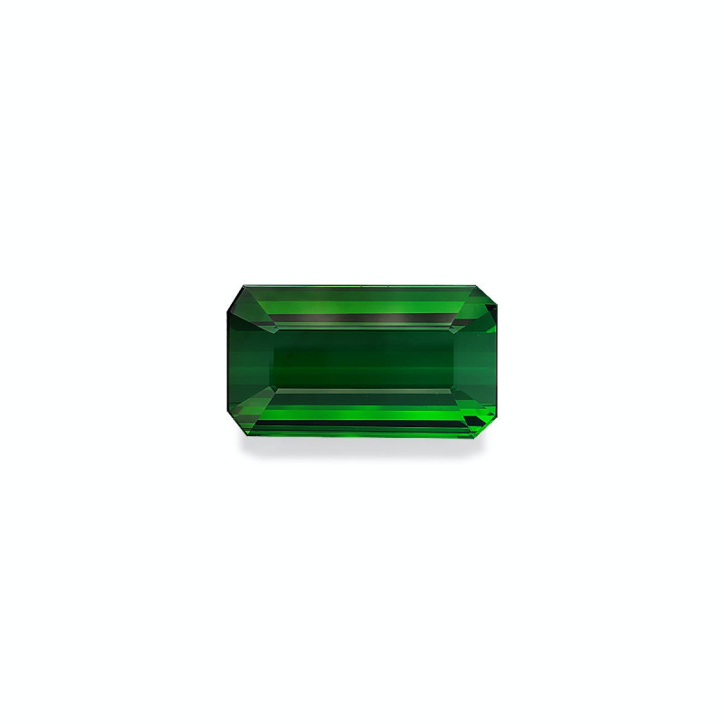 RECTANGULAR-cut Green Tourmaline Green 106.64 carats