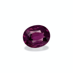 umbalite الحجم بيضاوي خبازي 3.77 