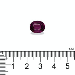 umbalite الحجم بيضاوي خبازي 3.77 