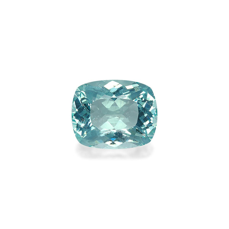 海蓝宝 taille 靠垫 蓝天 28.30 carats