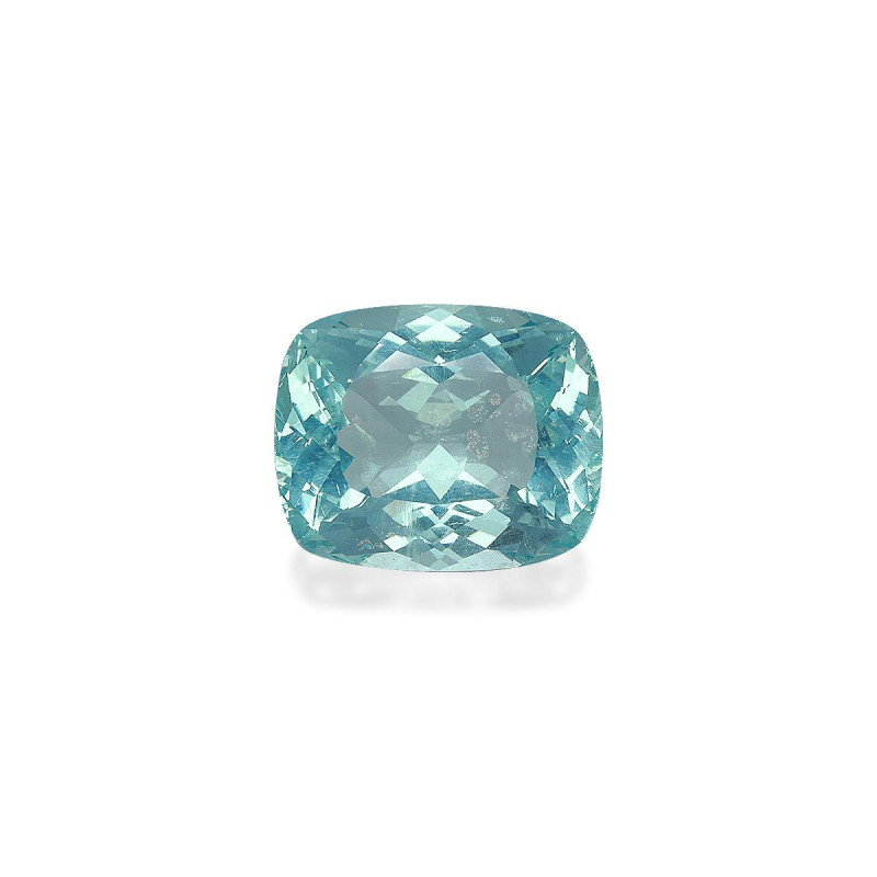 海蓝宝 taille 靠垫 蓝天 23.98 carats