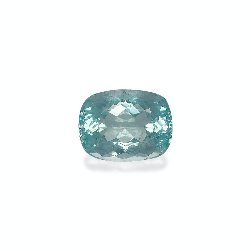 海蓝宝 taille 靠垫 绿色 13.37 carats