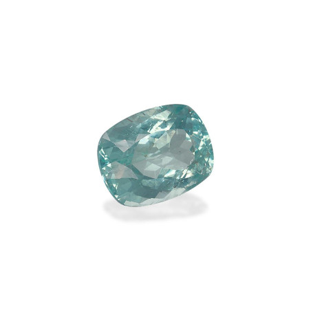 海蓝宝 taille 靠垫 绿色 13.37 carats
