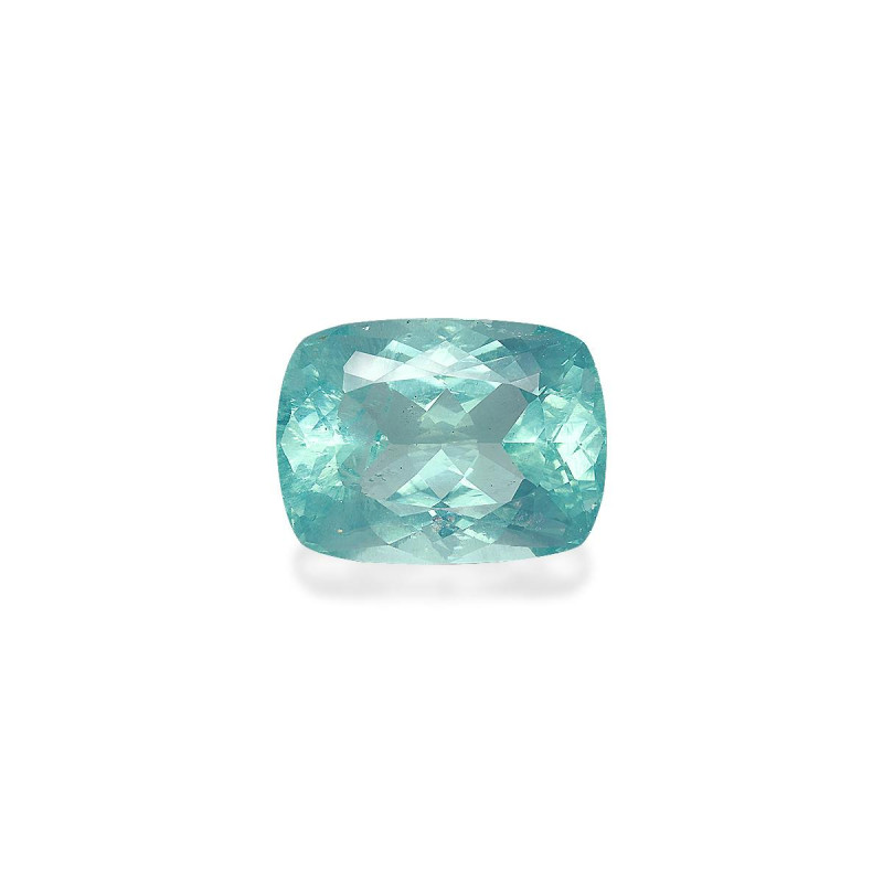 海蓝宝 taille 靠垫 蓝天 38.27 carats