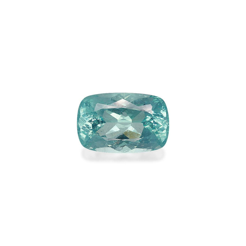 海蓝宝 taille 靠垫 蓝天 30.75 carats