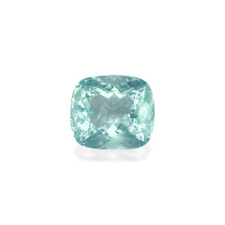 海蓝宝 taille 靠垫 蓝天 22.17 carats