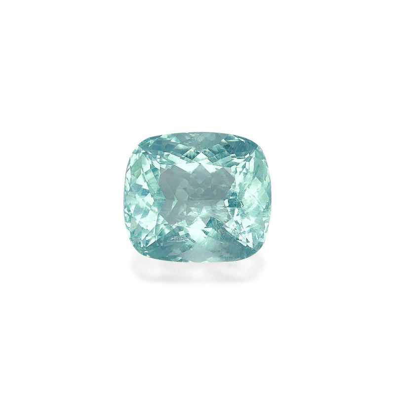 海蓝宝 taille 靠垫 蓝天 22.17 carats