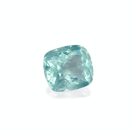 海蓝宝 taille 靠垫 蓝天 22.17 carats