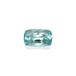 海蓝宝 taille 靠垫 蓝天 16.21 carats