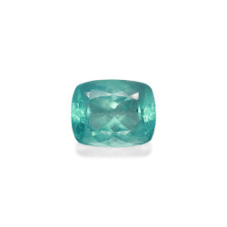 海蓝宝 taille 靠垫 蓝色 81.26 carats