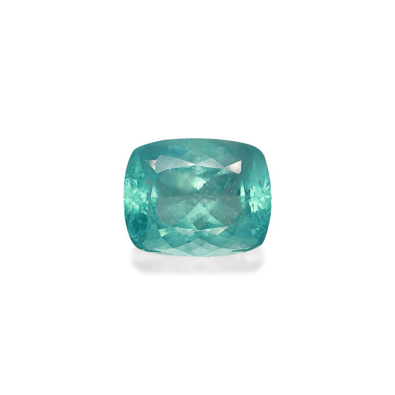 海蓝宝 taille 靠垫 蓝色 81.26 carats