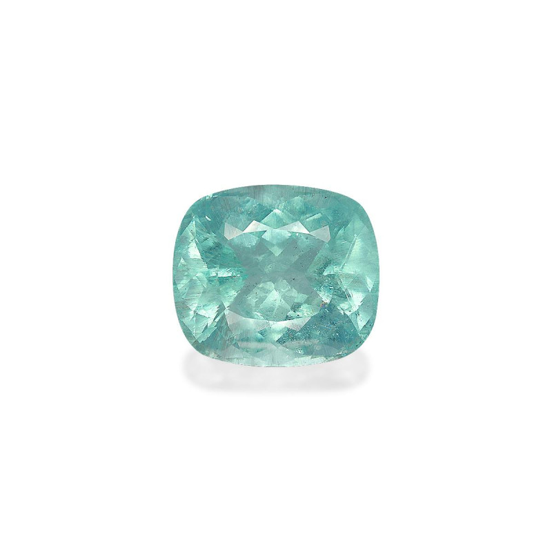 海蓝宝 taille 靠垫 蓝天 46.05 carats