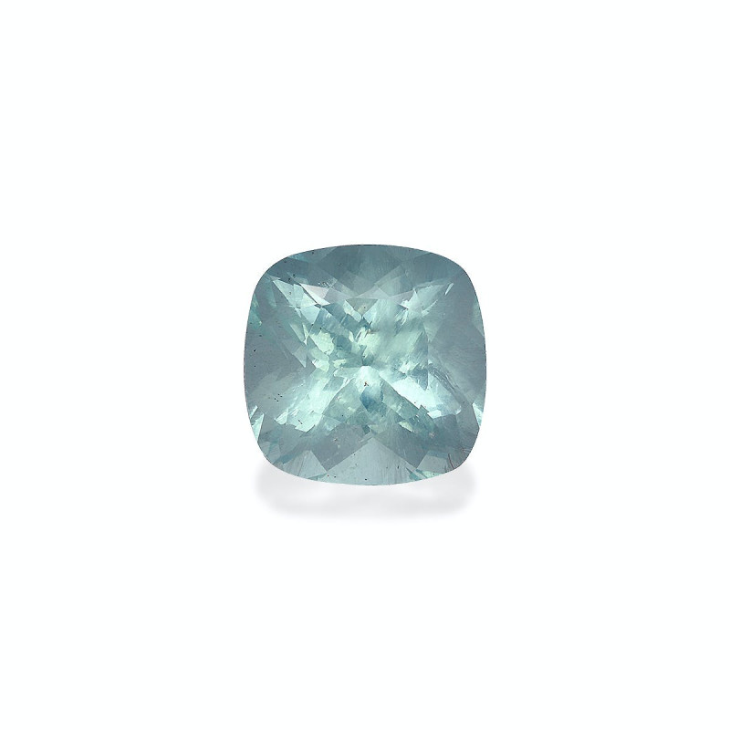 海蓝宝 taille 靠垫 绿色 10.72 carats