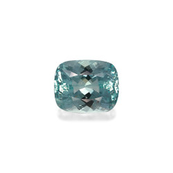 海蓝宝 taille 靠垫 绿色 9.88 carats