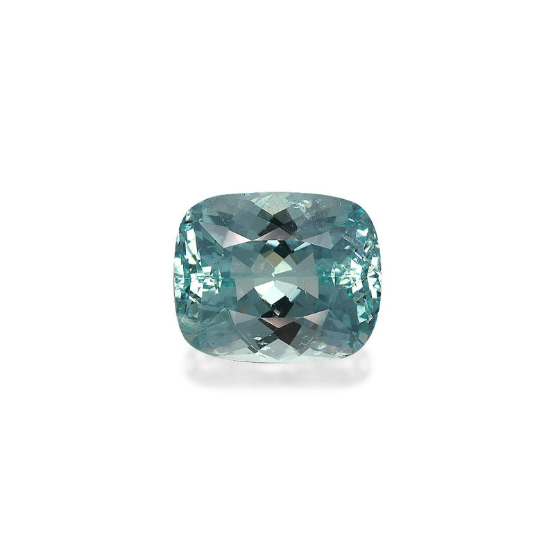 海蓝宝 taille 靠垫 绿色 9.88 carats