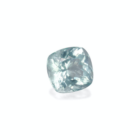 海蓝宝 taille 靠垫 蓝天 3.90 carats