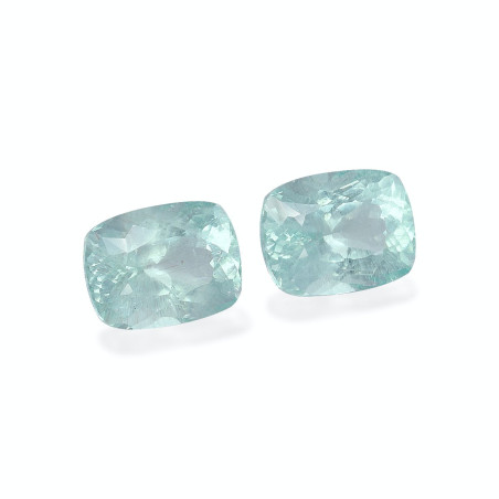 海蓝宝 taille 靠垫 绿色 10.95 carats