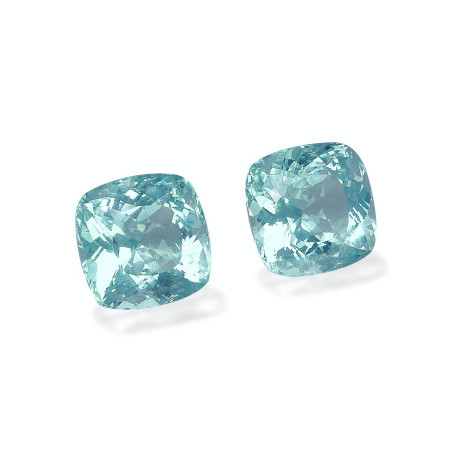 海蓝宝 taille 靠垫 绿色 38.84 carats