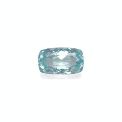 海蓝宝 taille 靠垫 淡绿色 8.68 carats