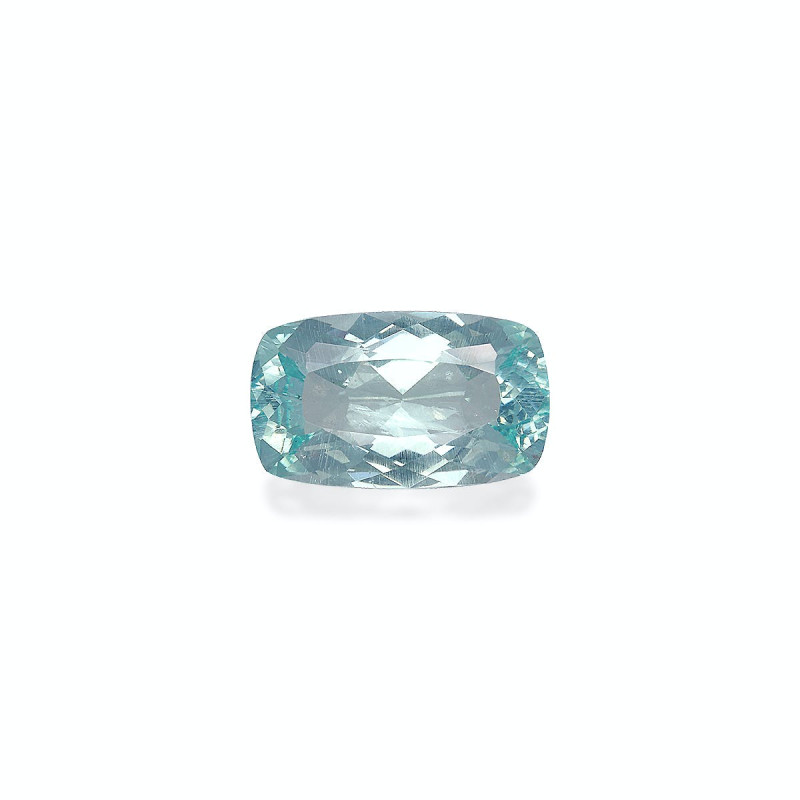 海蓝宝 taille 靠垫 淡绿色 8.68 carats