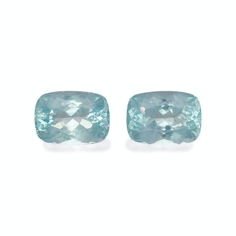 海蓝宝 taille 靠垫 蓝天 14.48 carats