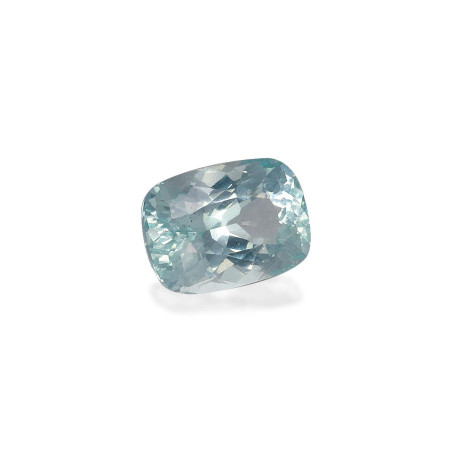海蓝宝 taille 靠垫 绿色 2.31 carats