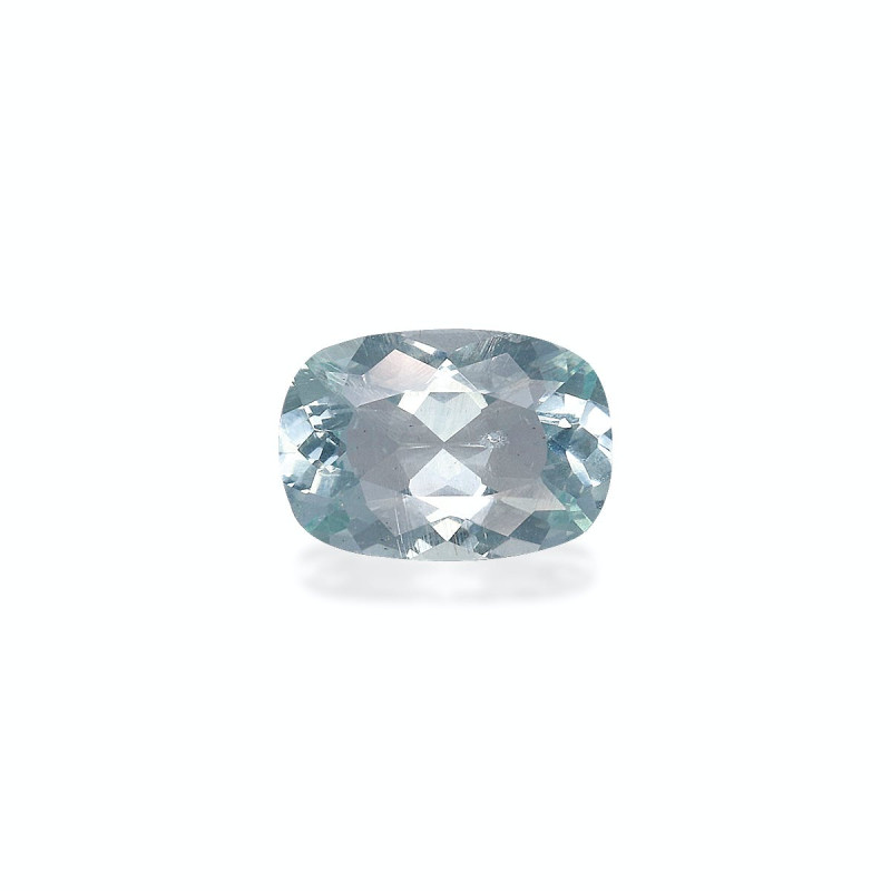 海蓝宝 taille 靠垫 绿色 1.23 carats