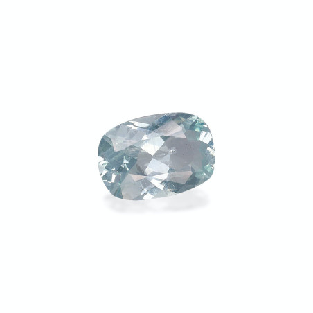 海蓝宝 taille 靠垫 绿色 1.23 carats
