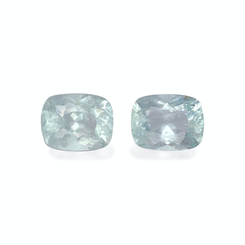 海蓝宝 taille 靠垫 绿色 4.11 carats