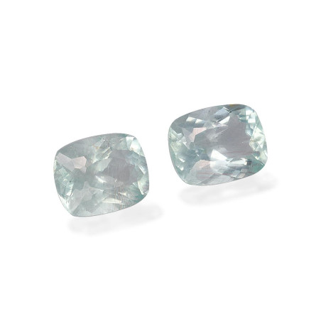 海蓝宝 taille 靠垫 绿色 4.11 carats
