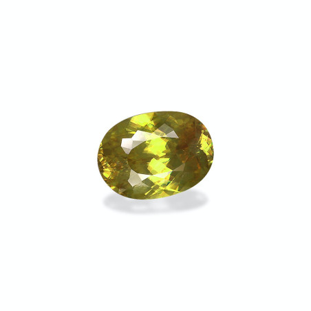 钛鈦矿 taille 椭圆形 绿色 5.28 carats