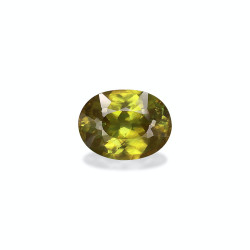钛鈦矿 taille 椭圆形 青柠绿 4.21 carats