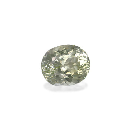 绿色电气石 taille 椭圆形  8.47 carats