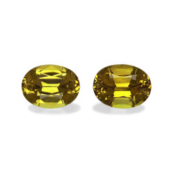石榴石 taille 椭圆形 青柠绿 3.53 carats